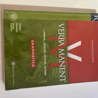 verba manent: grammatica