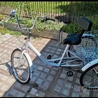 Bicicletta a tre ruote