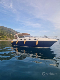 Fiart 35 Genius Natante