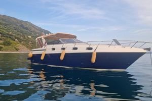 Fiart 35 Genius Natante