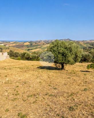 TER. RESIDENZIALE A ATRI