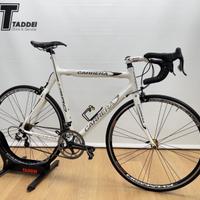 Carrera Hero Campagnolo Record 10v. taglia 56