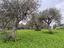 Immagine 7