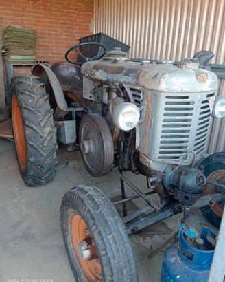 Landini testacalda L 25