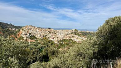 TER. AGRICOLO A CORIGLIANO-ROSSANO