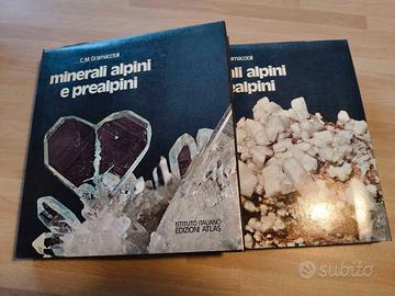 2 Volumi Minerali alpini e prealpini - 1975 RARO!!
