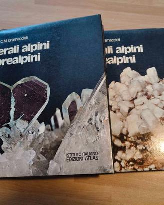 2 Volumi Minerali alpini e prealpini - 1975 RARO!!