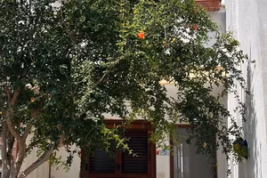 Graziosa Villetta a Schiera 