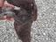 Immagine 3