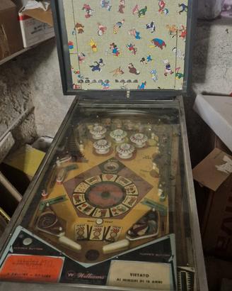 Flipper anni 70 