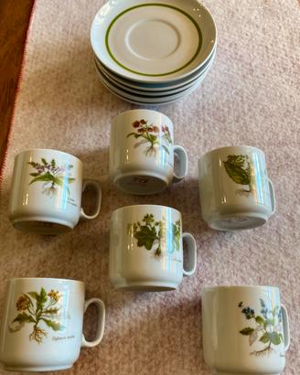 Set Tognana Design Botanico Porcellana d'Italia