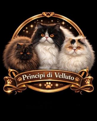 Cuccioli Persiani