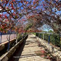 Appartamento, Pollina.