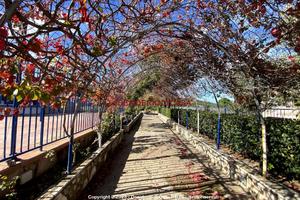 Appartamento, Pollina.