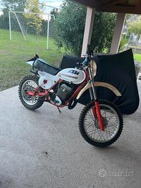 KTM 250 