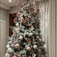 Albero di natale innevato
