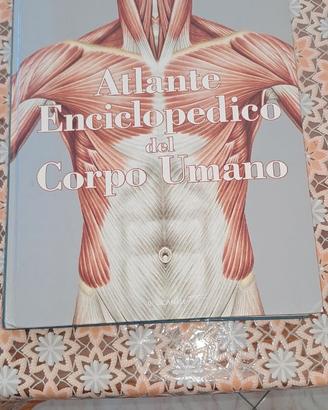 Libri