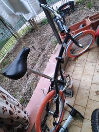 Bici Pieghevole