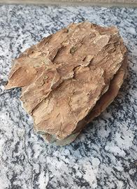 Roccia naturale per acquario o tartarughiera 