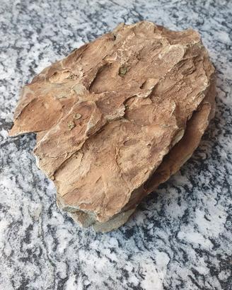 Roccia naturale per acquario o tartarughiera 
