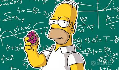 Ripetizioni Matematica Fisica Economia Mat scient