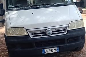 Fiat ducato 2.8 jtd