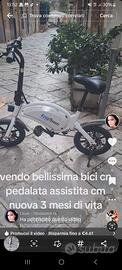 Bici pedalata assistita