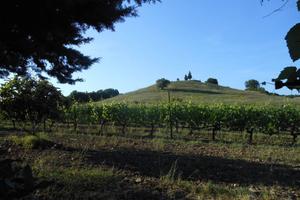 Rif.AA-R35| azienda agricola massa marittima