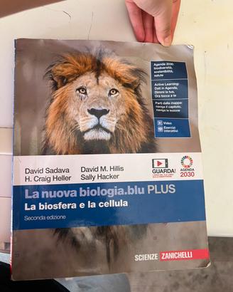 Libri