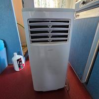 climatizzatore pinguino