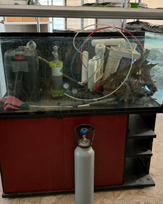 Acquario 300 litri