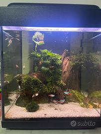 Acquario 90L