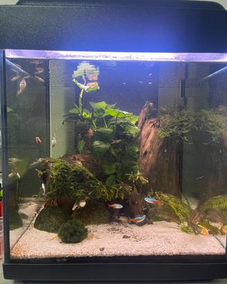 Acquario 90L