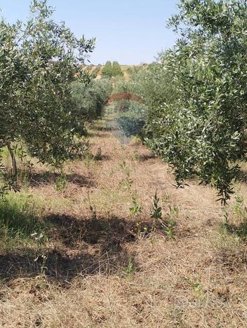 Terreno Edificabile - Caltagirone