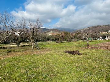 Terreno agricolo 2.300 mq