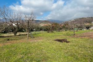 Terreno agricolo 2.300 mq