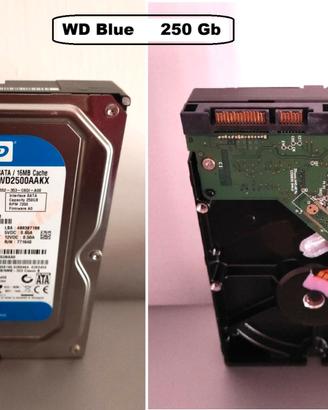 Hard Disk interni (2 unità) SATA 3,5'' 