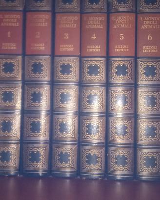 Enciclopedia Rizzoli La Rousse1977