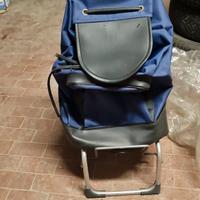 Carrello spesa