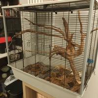 Gabbia  roditori/voliera