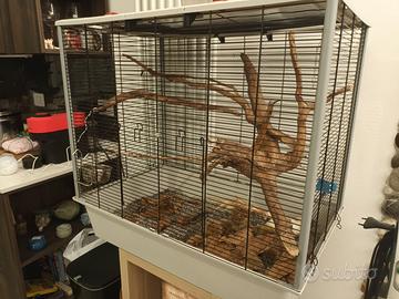 Gabbia  roditori/voliera