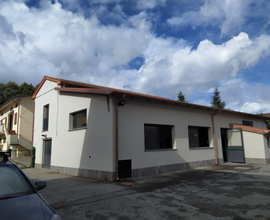 Capannone ad uso commerciale