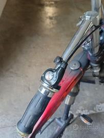 Bicicletta artigianale.