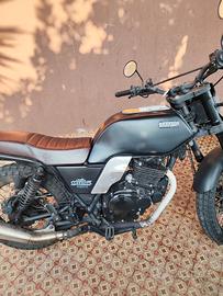 Brixton Felsberg 250 - 2020