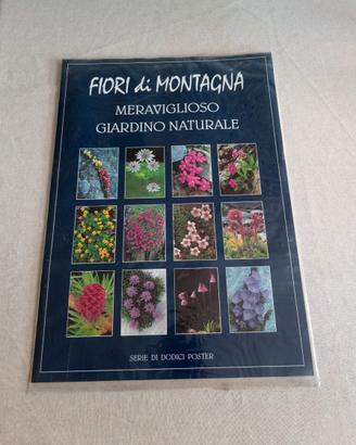 Serie di 12 poster "Fiori di montagna'