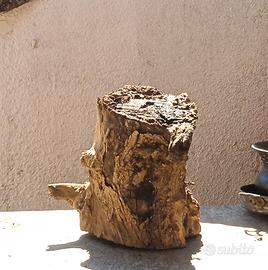 tronco naturale decorativo per giardino 