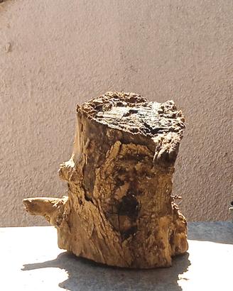 tronco naturale decorativo per giardino 