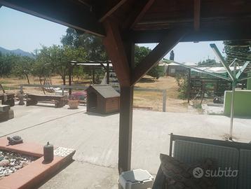 Gazebo in legno