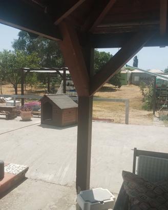 Gazebo in legno