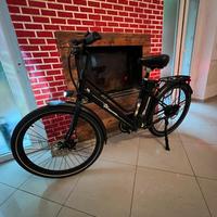 Bici elettrica evercross